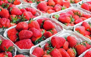 Saisonnier Emploi Interim Loiret Agriculture