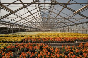 Saisonnier Interim Emploi Horticulture Loiret